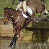 Concours complet : mort d'un cavalier olympique
