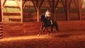 Mon bel au galop avec plein d'energie, flou car...