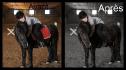 Utilisation de Photoshop, comment vous trouvez ? :)
