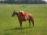 On s'amuse a prendre des photos :D Gros loulou ! :) 