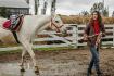 Princely Furry, mon premier cheval