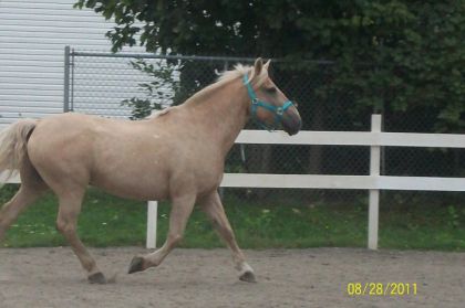 photo par Mariie03*