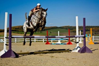 Moi et Toxedo ! Il est fort pour un petit appaloosa ! Quest-ce...