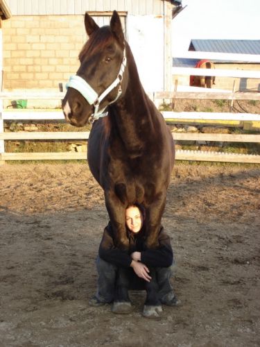 moi cacher sous mon amour