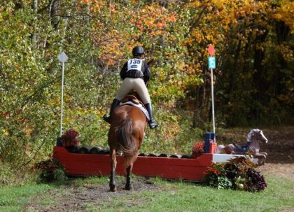 photo par Mimo Nous 2 au cross du fun show de Napierville, 7 octobre 2012....
