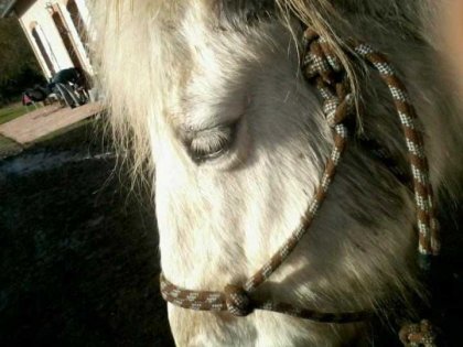 Ma Lisou d'amour ♥ (^.^)
