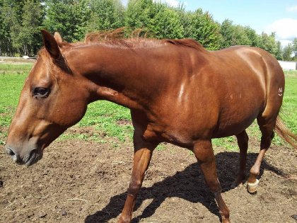Ma toutoune commence s&eacute;rieusement &agrave; muscler ! Moins de gras,...