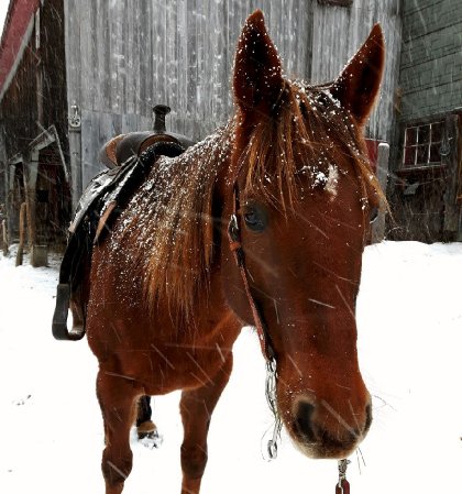 Time for winter trailrides! ☆