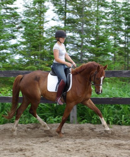 photo par Delta