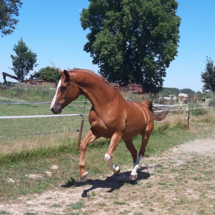 Horizon en forme
