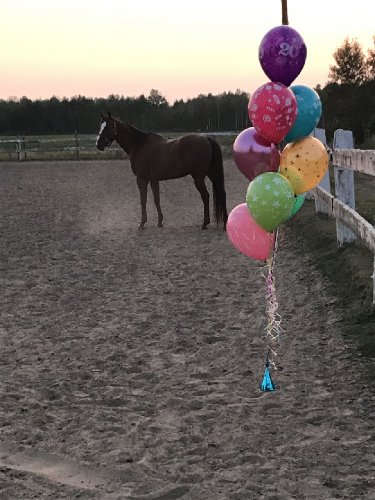 Photo pour ma f&ecirc;te, elle avait bien peur des ballons 