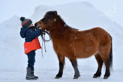 🐴 Pride 👤 mon fils Bryan 📷 @jessie...