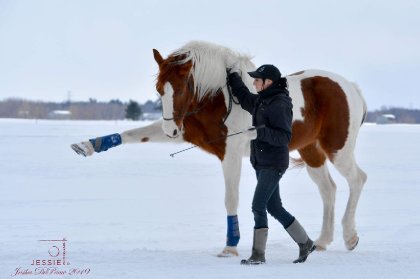 🐴 Magic 📷 @Jessie photographie 