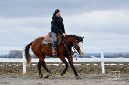 🐴 Spook yuba gun lors d'une s&eacute;ance d'entra&icirc;nement...
