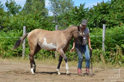 🐴 Fiftyshades of gunner 📷 @jessie photographie 
