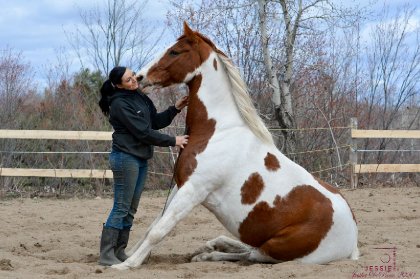 🐴 Magic 📷 @Jessie photographie 