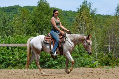 🐴 L&eacute;ly, petite jument que j'ai re&ccedil;u &agrave; l'entra&icirc;nement...