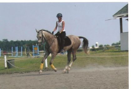 mon ancien Cheval AngloArabe Hanovrien de 5 ans en training :)