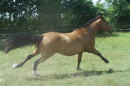 photo par M-&-M Une derniére pour la route : faire la course avec son hombre y'a...