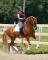 Cours de dressage r&eacute;gion de Quebec