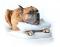 MASSOTH&Eacute;RAPEUTE CANIN, MASSAGE CANIN