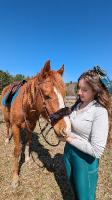 J'ai acheter mon poulain de 18 mois sans le voir et sans vet check a un &eacute;leveur/marchant de chevaux.

Tout le monde ma dit de ne pas faire ca que...