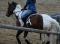 Warhorse<3