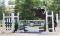 Lazo