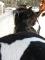 jess_l