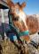 milou22