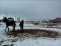 Petit video d'hier de travail au sol en libert&eacute;...