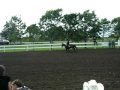 Ma premi&egrave;re comp&eacute; de reining :)