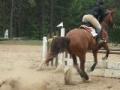 Moi et ma jument au concours du 14 ao&ucirc;t 2010 chez EGC en sauteur...