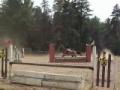 Moi et ma jument au concours du 14 ao&ucirc;t 2010 chez EGC en sauteur...