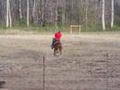 Le cheval semble dire : &laquo; Tu as beaux me...