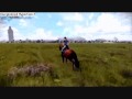 Le jeu horses star ( quel et le nom de la musique...