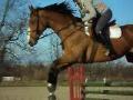 Parcours dans le chasseur