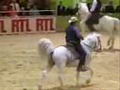 Jparlais des camargues en voila!