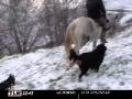 Sa l'air assez amusant, version diff&eacute;rente du ski-joering!
