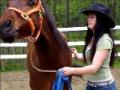 montage de mon &eacute;t&eacute; avec mon cheval + pratique de course de sauvetage
