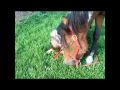 Un montage fait par moi de Catherine (Raiinb0w_x)...
