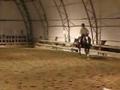 Lalita et moi, cheval que j'entraine en vue de la...