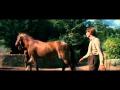 Cheval de Guerre, un film tellement beau ♥