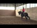 petit bout de ma clinique du 9septembre 2012 :)