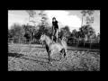 cheyenne . j'adore cette jument ! 