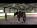 To the heart of a mustang episode 88...ma...