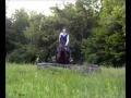 Video de 'cross' moi et ma jument dans nos trail...