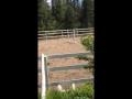 Saut d'obstacle avec Safira :) 2 Pieds :) Je sais...