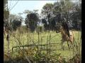 Serie de vid&eacute;os tr&egrave;s intructives