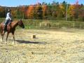 Didi et moi au trot lent!